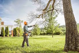 Best Emergency Tree Removal  in Allendale, SC